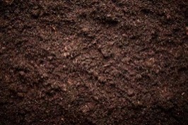 Soil